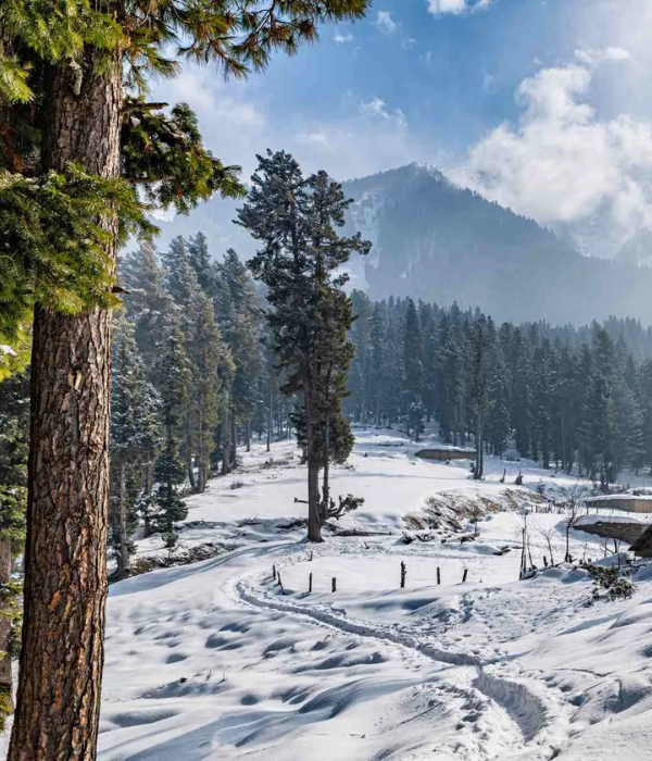 Pahalgam Kashmir